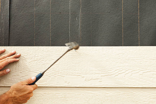 Best Custom Siding Design  in Paradise Hills, NM